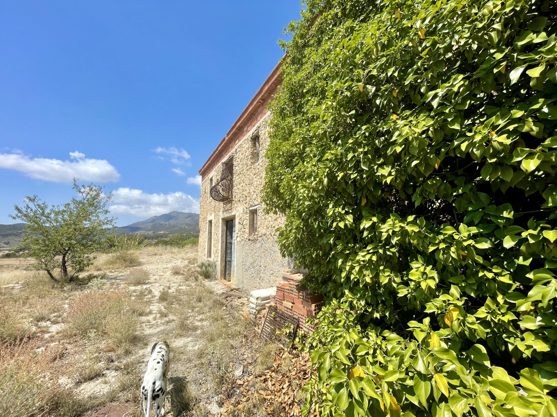 Finca a Relleu, Alicante, Spagna 166 mq. N° 192506