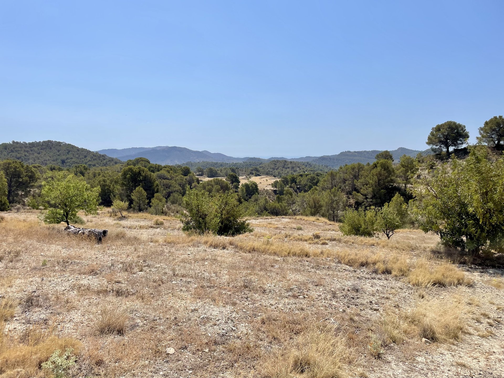 Finca a Relleu, Alicante, Spagna 166 mq. N° 192506