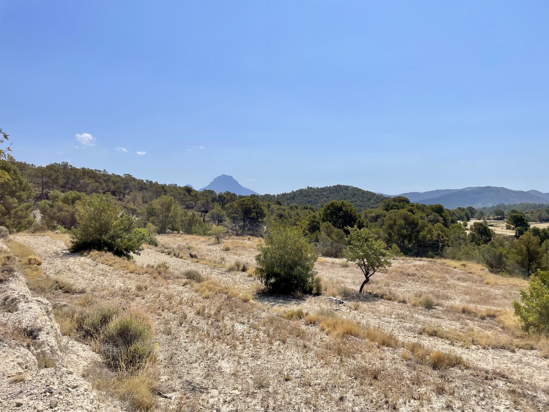 Finca a Relleu, Alicante, Spagna 166 mq. N° 192506