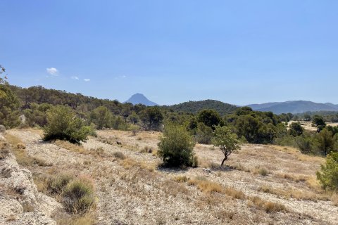 Finca in vendita a Relleu, Alicante, Spagna 166 mq. N° 192506 - foto 18