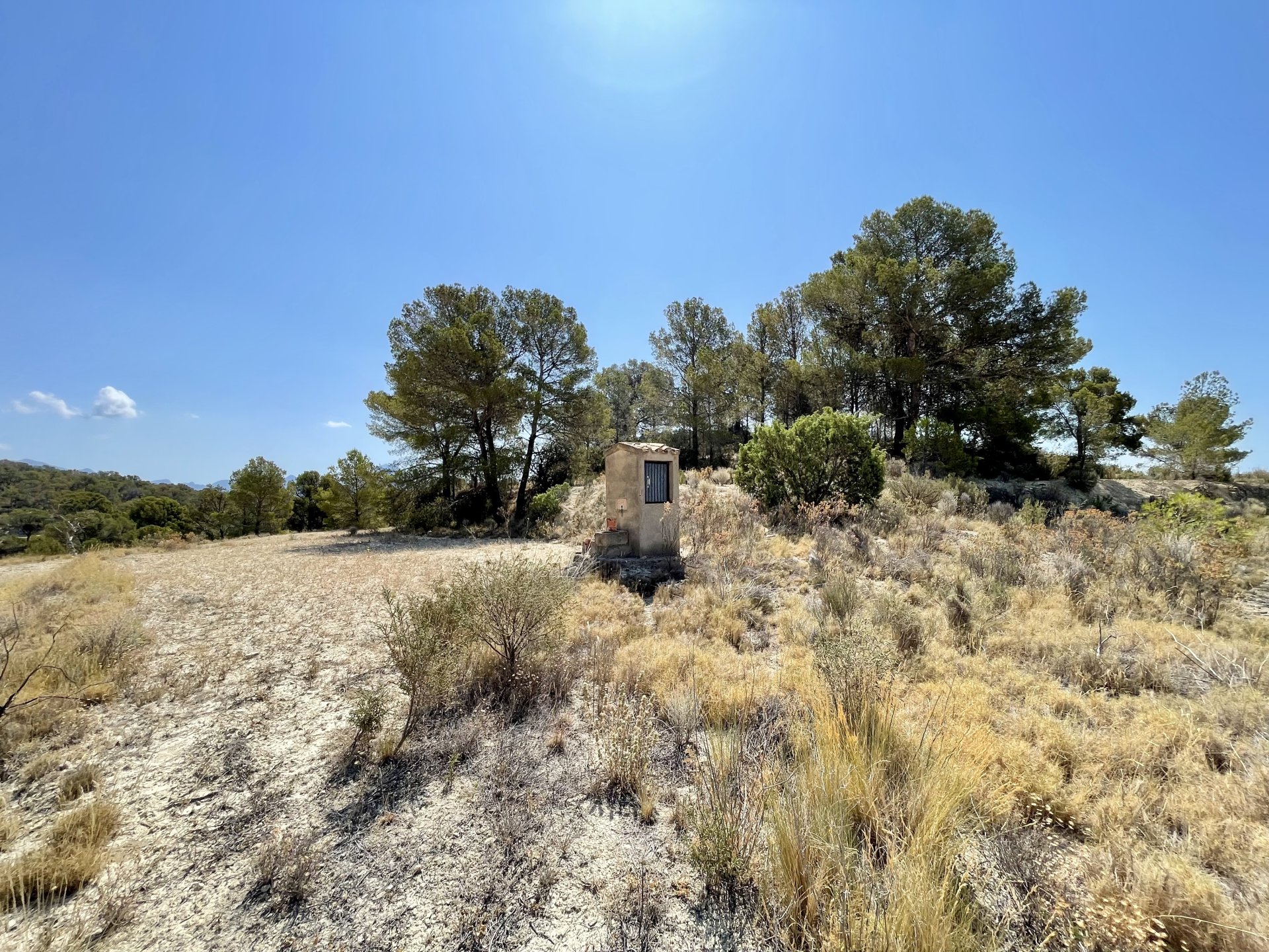 Finca a Relleu, Alicante, Spagna 166 mq. N° 192506