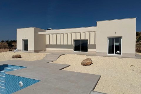 Villa en venta en Pinoso, Alicante, España 3 dormitorios, 120 m2 No. 170760 - foto 3