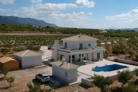 Huvila myytävänä Pinoso, Alicante, Espanja, 4 makuuhuonetta, 220 m2 No. 170759 - kuva 4