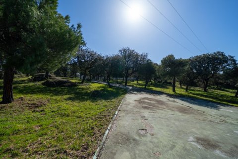 Продажа виллы в Кольменарехо, Мадрид, Испания 8 спален, 2178м2 №168861 - фото 4