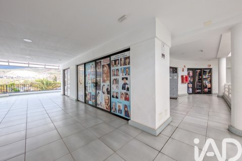 Liikekiinteistö myytävänä Arona, Tenerife, Espanja , 302 m2 No. 172451 - kuva 8