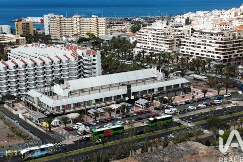 Commercial property in Arona, Tenerife, Spain 302 sq.m. No. 172451