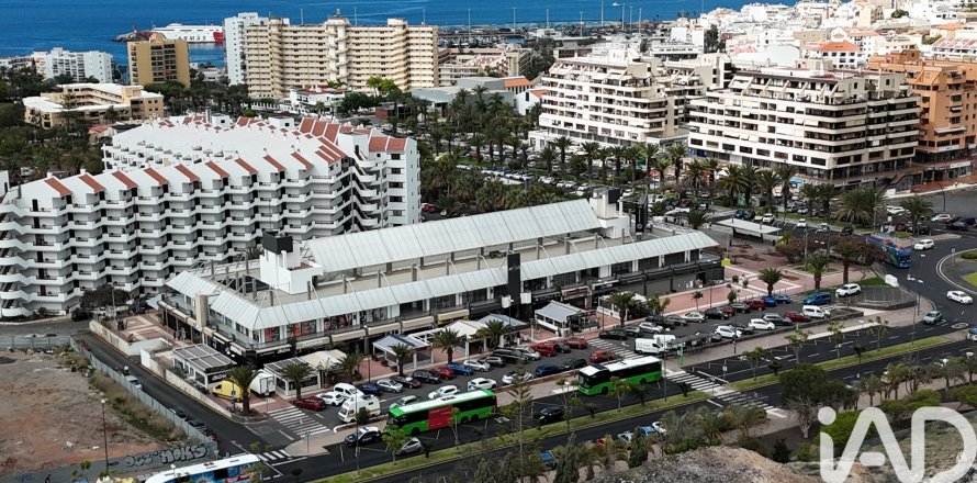 Liikekiinteistö Arona, Tenerife, Espanja 302 m2 No. 172451