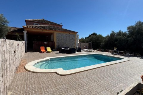 Finca en venta en Albatera, Alicante, España 6 dormitorios, 226 m2 No. 160666 - foto 17