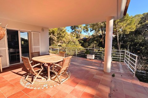 Villa in Portals Nous, Mallorca, Spain 5 bedrooms, 226 sq.m. No. 150119