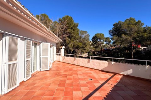 Villa pārdošanā Portals Nous, Mallorca, Spānijā 5 istabas, 226 m2 Nr. 150119 - attēls 10