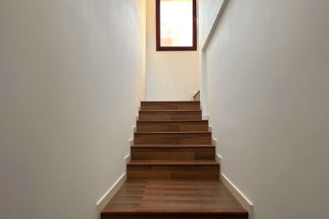 Proprietà commerciale in affitto a Santa Ponsa, Mallorca, Spagna 3 camere da letto, 209 mq. N° 150121 - foto 14