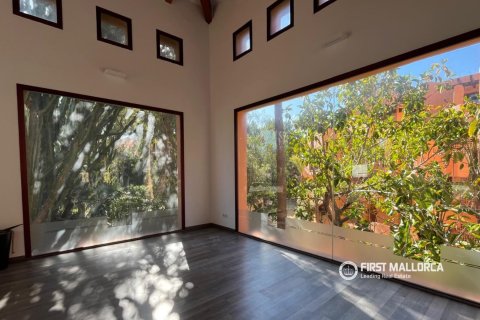 Liikekiinteistö vuokrattavana Santa Ponsa, Mallorca, Espanja, 3 makuuhuonetta, 209 m2 No. 150121 - kuva 9