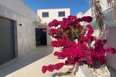 Villa à vendre Ciudad Quesada, Alicante, Espagne, 4 chambres, 240 m2 No. 119739 - photo 3
