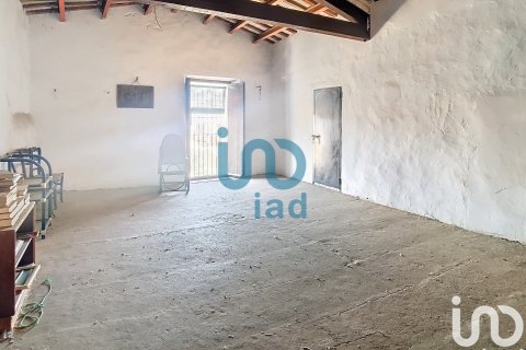 Продажа дома в Сан-Андреу-де-ла-Барка, Барселона, Испания 10 спален, 10701м2 №153665 - фото 16