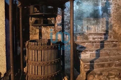 Продажа дома в Сан-Андреу-де-ла-Барка, Барселона, Испания 10 спален, 10701м2 №153665 - фото 17