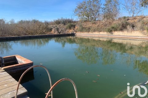 Terreno in vendita a Riudoms, Tarragona, Spagna 61232 mq. N° 153660 - foto 13