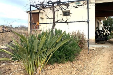 Terreno in vendita a Riudoms, Tarragona, Spagna 61232 mq. N° 153660 - foto 3