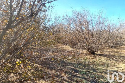 Terreno in vendita a Riudoms, Tarragona, Spagna 61232 mq. N° 153660 - foto 14
