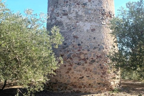 Terreno in vendita a Riudoms, Tarragona, Spagna 61232 mq. N° 153660 - foto 18