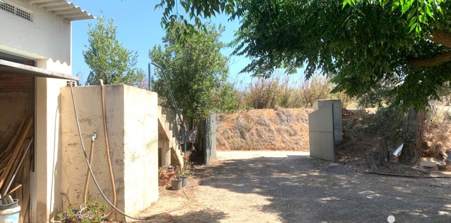 Terreno a Riudoms, Tarragona, Spagna 61232 mq. N° 153660