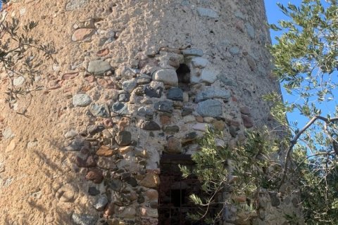 Terreno in vendita a Riudoms, Tarragona, Spagna 61232 mq. N° 153660 - foto 16