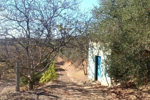 Terreno in vendita a Riudoms, Tarragona, Spagna 61232 mq. N° 153660 - foto 15