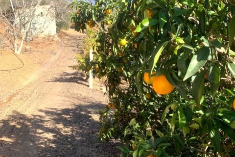 Terreno in vendita a Riudoms, Tarragona, Spagna 61232 mq. N° 153660 - foto 21