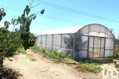 Terreno in vendita a Riudoms, Tarragona, Spagna 61232 mq. N° 153660 - foto 8