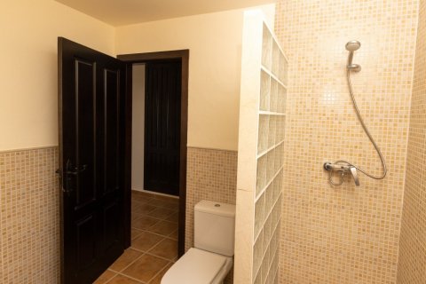 Villa for sale Fuente Alamo, Murcia, Spain 3 bedrooms, 178 sq.m. No. 111424 - photo 26