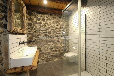 Villa till salu i Principado De Andorra (Ninguna Poblacion Tiene C.P.), Lleida, Spanien 4 sovrum, 320 kvm. Nr. 156916 - foto 26