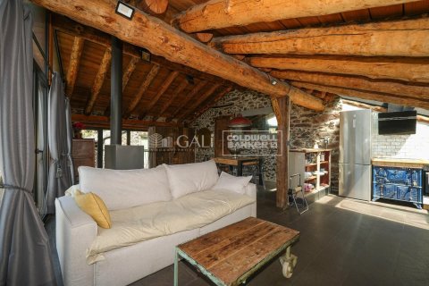 Villa till salu i Principado De Andorra (Ninguna Poblacion Tiene C.P.), Lleida, Spanien 4 sovrum, 320 kvm. Nr. 156916 - foto 7