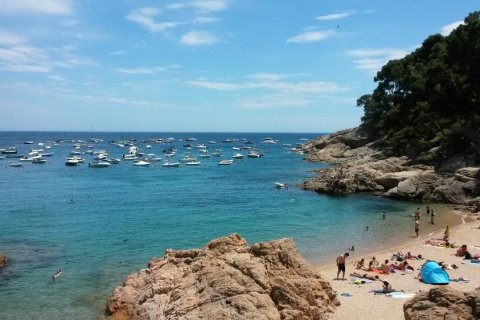 House zur Miete in Tamariu, Girona, Spanien 4 Schlafzimmer, Nr. 141315 - Foto 19