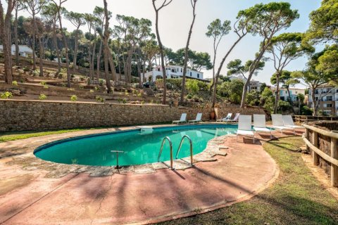 House for rent in Tamariu, Girona, Spain 8 bedrooms,  No. 141314 - photo 2