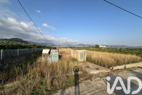Продажа земельного участка в Пего, Аликанте, Испания 4717м2 №185092 - фото 22