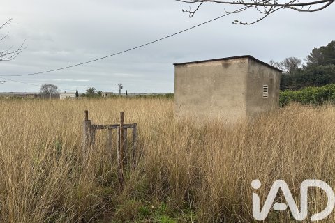 Продажа земельного участка в Пего, Аликанте, Испания 4717м2 №185092 - фото 13