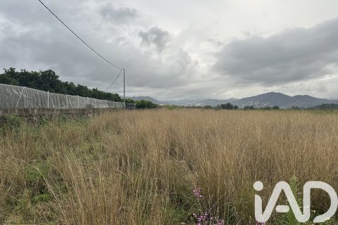 Продажа земельного участка в Пего, Аликанте, Испания 4717м2 №185092 - фото 11