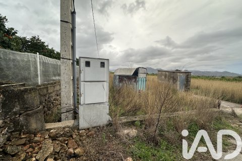 Продажа земельного участка в Пего, Аликанте, Испания 4717м2 №185092 - фото 2