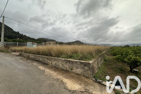 Продажа земельного участка в Пего, Аликанте, Испания 4717м2 №185092 - фото 18