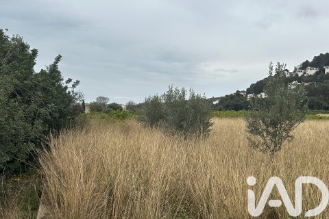 Продажа земельного участка в Пего, Аликанте, Испания 4717м2 №185092 - фото 7