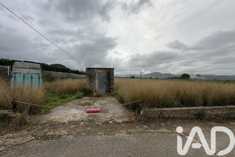 Продажа земельного участка в Пего, Аликанте, Испания 4717м2 №185092 - фото 17