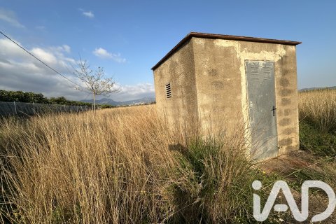 Продажа земельного участка в Пего, Аликанте, Испания 4717м2 №185092 - фото 21