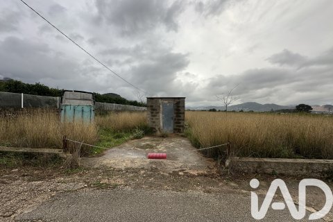 Продажа земельного участка в Пего, Аликанте, Испания 4717м2 №185092 - фото 16