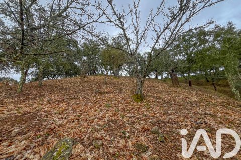 Land zum Verkauf in Galaroza, Huelva, Spanien 35000 m2 Nr. 185087 - Foto 28