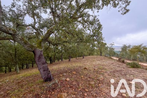 Land zum Verkauf in Galaroza, Huelva, Spanien 35000 m2 Nr. 185087 - Foto 16