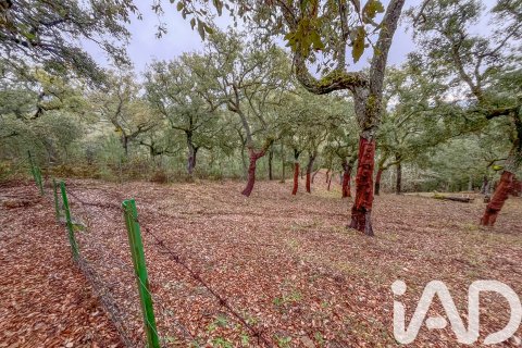 Land zum Verkauf in Galaroza, Huelva, Spanien 35000 m2 Nr. 185087 - Foto 5