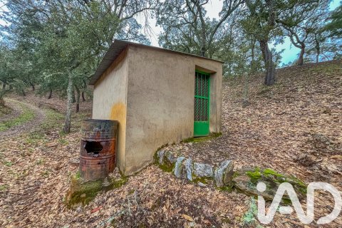 Land zum Verkauf in Galaroza, Huelva, Spanien 35000 m2 Nr. 185087 - Foto 13