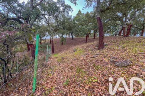 Land zum Verkauf in Galaroza, Huelva, Spanien 35000 m2 Nr. 185087 - Foto 25