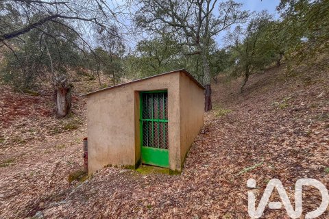 Land zum Verkauf in Galaroza, Huelva, Spanien 35000 m2 Nr. 185087 - Foto 12