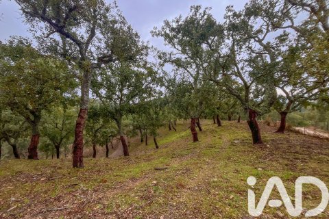 Land zum Verkauf in Galaroza, Huelva, Spanien 35000 m2 Nr. 185087 - Foto 19