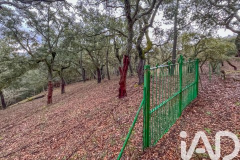 Land zum Verkauf in Galaroza, Huelva, Spanien 35000 m2 Nr. 185087 - Foto 7